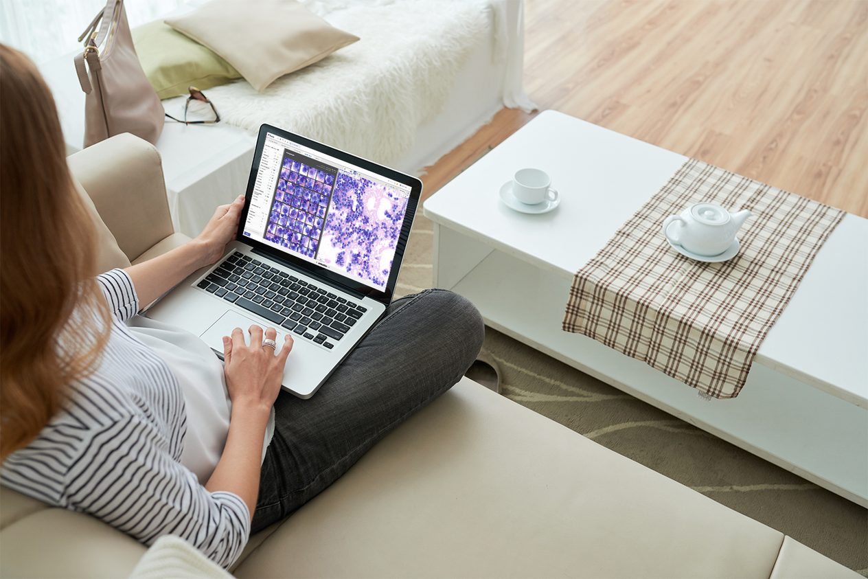 Hematopathologist reviewing a bone marrow scan on a laptop at home